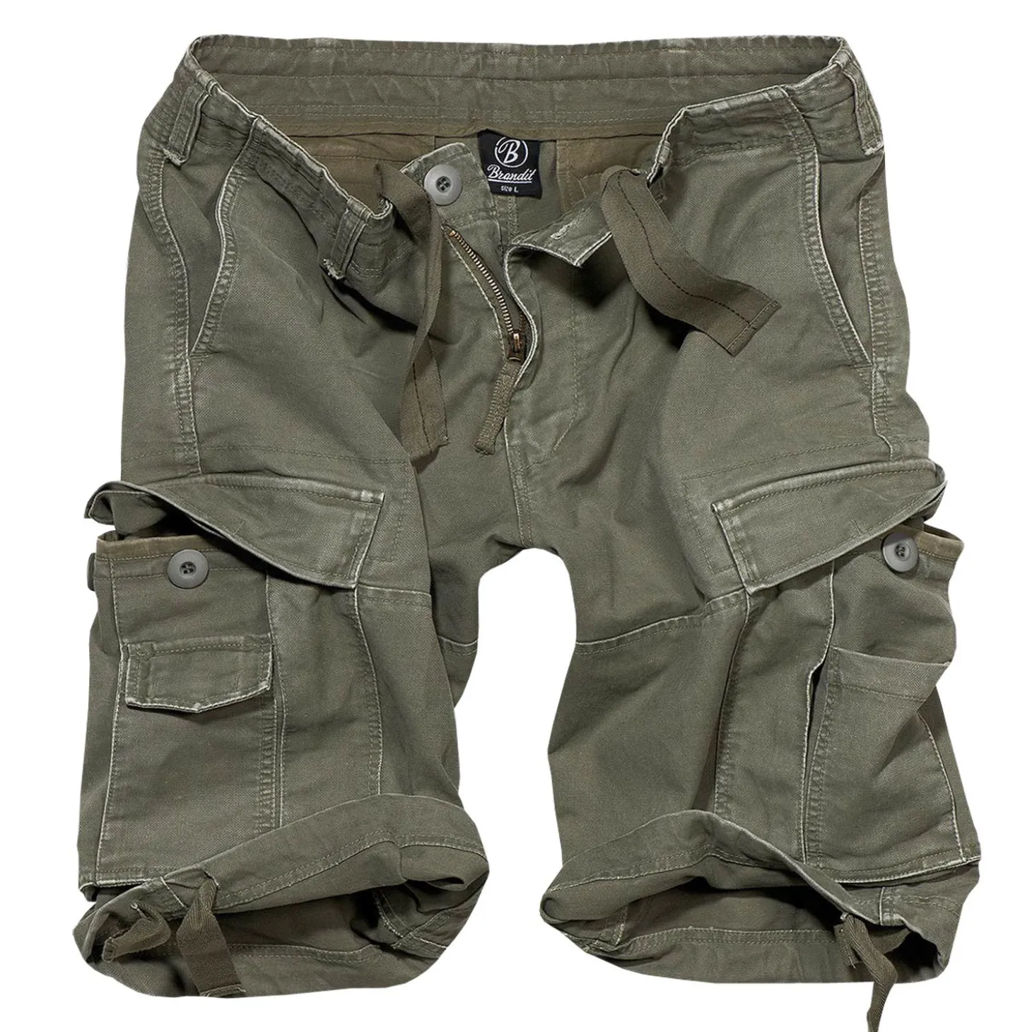 Basic Vintage Shorts Cargo