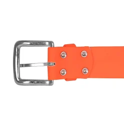 BioThane-Gürtel 38mm - Schnalle genietet