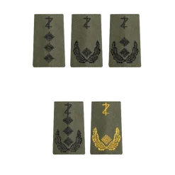 Bundeswehr Rangabzeichen Heer Zahnärzte