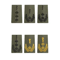 Bundeswehr Rangabzeichen Heer Ärzte