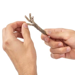 Bushbox Fire Sticks