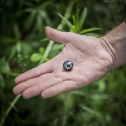 Button Compass