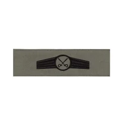 BW Tätigkeitsabzeichen Textil Allg. Heeresdienst