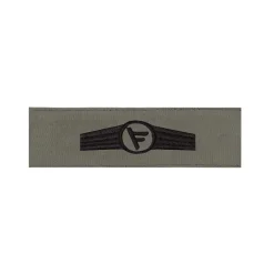 BW Tätigkeitsabzeichen Textil Führungsdienst