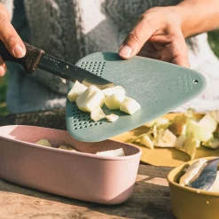 Swedish FireKnife Bio 2in1