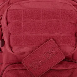 US Assault Pack Small