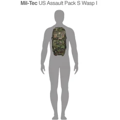 US Assault Pack Small