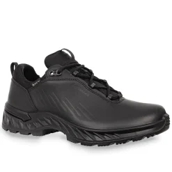 Zicon GTX Low Einsatzschuhe