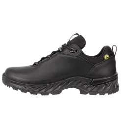 Zicon GTX Low Einsatzschuhe